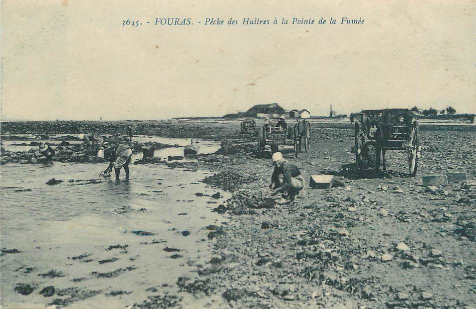 Maison Margat, producteur d’huîtres et moules à Fouras Maison Margat, producteur d’huîtres et moules à Fouras