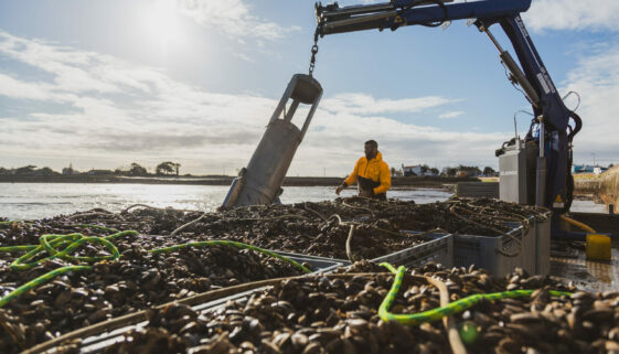Maison Margat, producteurs de Moules à Fouras