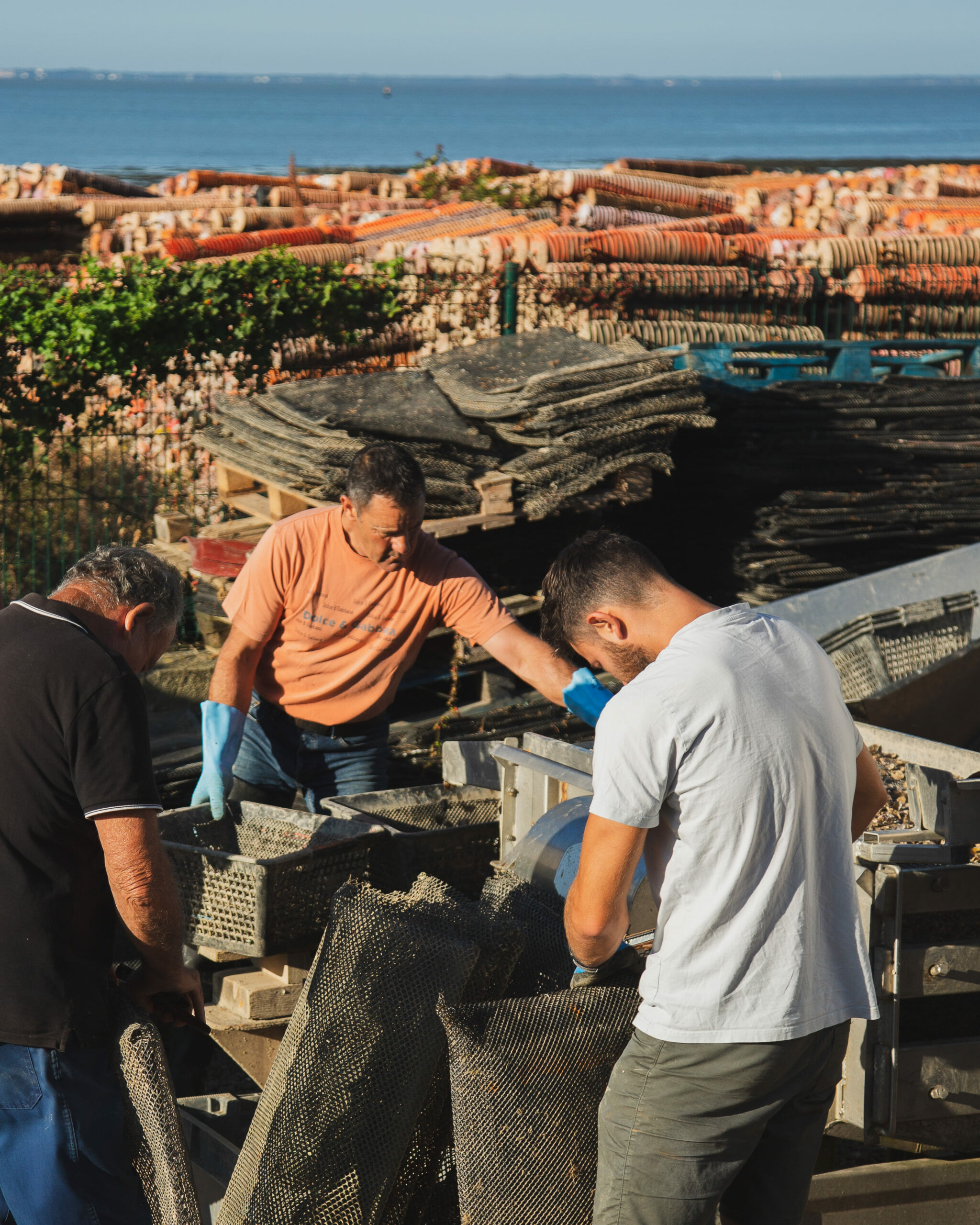 Maison Margat - Fouras (Huîtres)