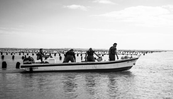 Levage des cordes - Maison Margat