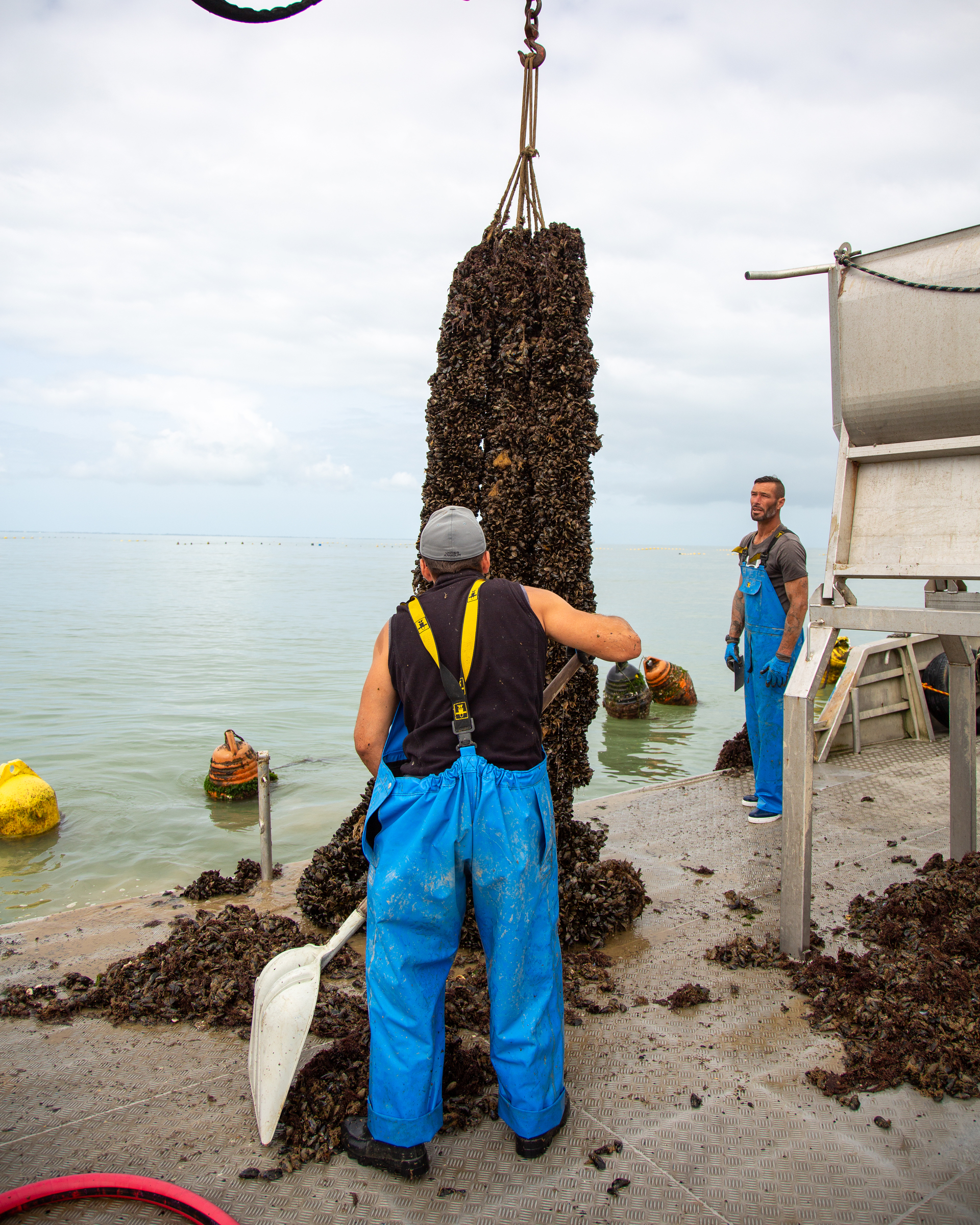 Moules sur Filières - Maison Margat