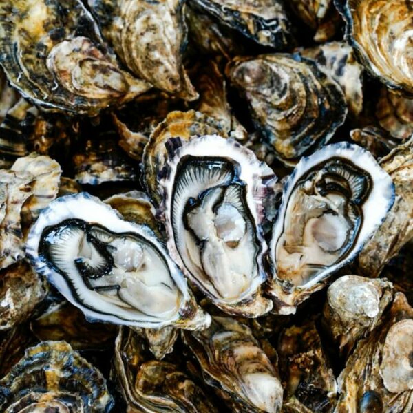Huîtres Spéciales
